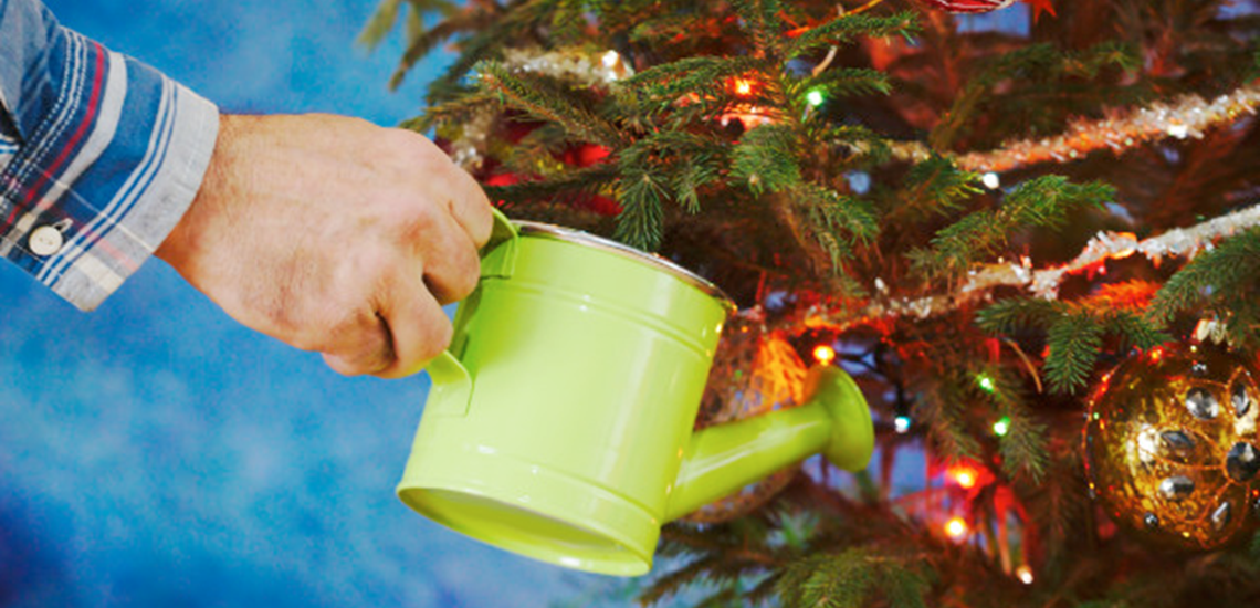 12 ways of (saving water this) Christmas