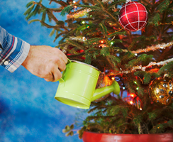 12 ways of (saving water this) Christmas