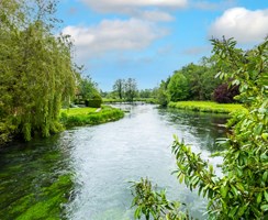 An image of the River Itchen - highlighting Southern Water's commitment to improve its environmental performance in its turnaround plan