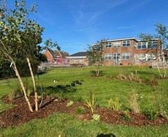 Nature-based solutions in schools 