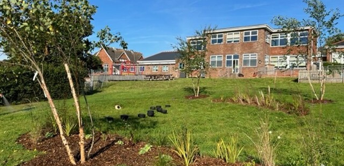 Nature-based solutions in schools 